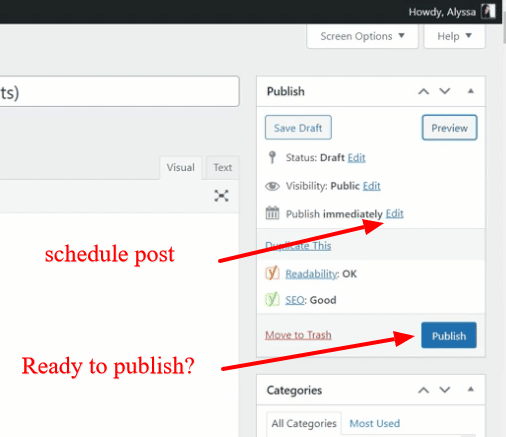 publish wordpress post